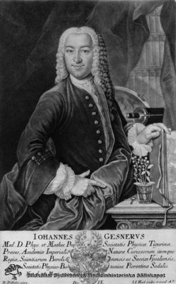 Joh. Gesner, född 1709 i Zürich, död 1790 i Zürich. 
MS - 8.542. Ur firman "Roche"s medicinsk-historiska samlingar. Reprotryck
Nyckelord: Porträtt;Zürich;Reprotryck;Kapsel 12