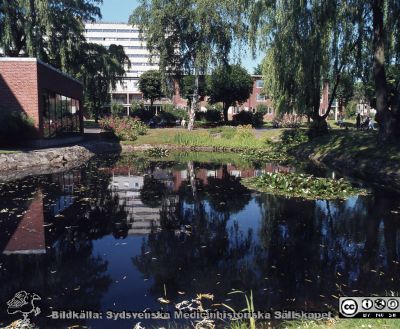 Ankdammen vid reumatologiska klinikens östra gavel
Sjukhusfotograferna i Lund. Diabilder, UNS, 1970-talet. 26256. Vy norrut mot ögonkliniken och C-blocket. Till vänster reumatologiska klinikens inomhus badbassäng. Från positiv.
Nyckelord: Lasarett;Lund;Universitet;Univeristetssjukhus;USiL;Reumatologi;Damm;Badbassäng;Ögon;Klinik;Centralblocket