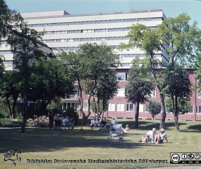 Parken söder om ögonkliniken
Sjukhusfotograferna i Lund. Diabilder, UNS, 1970-talet. 26256. Centralblocket i bakgrunden. Från positiv.
Nyckelord: Lasarett;Lund;Universitet;Universitet;USiL;Ögon;Klinik;Centralblock;Park