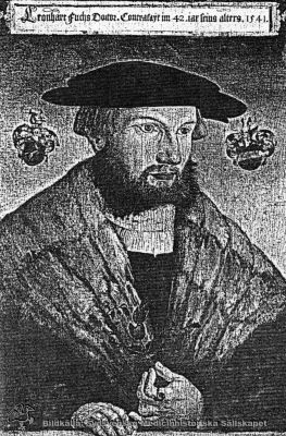 Leonhart Fuchs
Text ovanför porträttet: Leonhart Fuchs Doctor. Kontrafaÿt im 42. iar seins alters. 1541. Reprotryck Monterat. Proveniens okänd.
Nyckelord: Kapsel 12;Porträtt;1500-talet