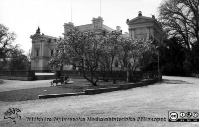 Lunds Universitet, huvudbyggnaden 1984
Sjukhusfotograferna i Lund. Pärm S/V neg-84. 84-05-11. Universitetsbyggnaden i Lund, med  magnolior i full blom. Från negativ
Nyckelord: Lund;Universitet;Administration;Förvaltning;Universitetsplatsen