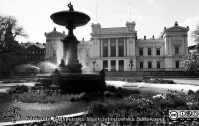 Universitetsplatsen, Lund, maj 1984
Sjukhusfotograferna i Lund. Pärm S/V neg-84. 84-05-11. Universitetsplatsen i Lund med centrala administrationsbyggnaden i fonden. Magnoliorna har slagit ut, fontänen spelar och rabatterna prunkar. Från negativ
Nyckelord: Lund;Universitet;Administration