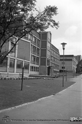  Nya administrationsbyggnadens söderfasad 1961
Pärm Lasarettsfoto, interiörer och exteriörer m.m. 1958 - 1960. LAS. Exteriör, 61. 23. AB-blocket och folkskoleseminariets vaktmästarbostad i bakgrunden, till höger. Foto 1961. Från negativ.
Nyckelord: Lasarettet;Lund;Universitet;Universsitetssjukhus;USiL;Administration