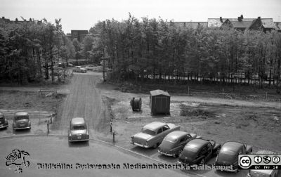 Vy söderut från det nybyggda laboratorieblocket
Pärm Lasarettsfoto, interiörer och exteriörer m.m. 1958 - 1960. LAS. Exteriör, 61. 23. Foto 1961. Till höger ovanför träden ses dåvarande ortopediska klinikens tak. I gapet i träddungen skymtar en del av ögonkliniken. Från negativ, flik 1960. 
Nyckelord: Lasarett;Lund;Universitet;Universitetssjukhus;USiL;Bygge;Ortopedi;Ögon;Oftalmiatrik