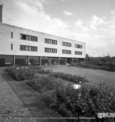 Västerfasaden på det nya Lasarettshemmet 1965
Pärm Lasarettsfoto, interiörer och exteriörer m.m. 1958 - 1960. Exteriör, Lasarettshemmet, oktober 1965. Fasad mot väster. Till höger i bakgruden skymtas centrablocket på Lasarettet i Lund under uppförande. Från negativ
Nyckelord: Lasarett;Lund;Lasarettshem;Universitetssjukhus;USiL