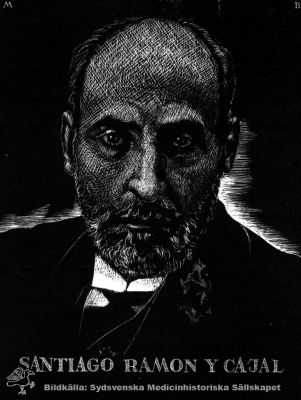 SANTIAGO RAMON Y CAJAL, 1852 - 1934
Belönad 1906 med Nobelpriset i fysiologi eller medicin "såsom ett erkännande åt hans arbeten rörande nervsystemets byggnad". Reprotryck Monterat
Nyckelord: Medicin;Fysiologi;Nobelpristagare;Nobelpris;Neuobiologi;Neurobiolog;Kapsel 12;Porträtt