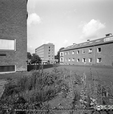 Lasarettet i Lund. Vy mot nordväst mot barnkliniken 1958
Pärm Lasarettsfoto, interiörer och exteriörer m.m. 1958 - 1960. Foto från strax öster om radiologiska klinikens östra fasad. Tandkliniken till höger. 9/1958. Från negativ.
Nyckelord: Lasarettet;Lund;Universitetssjukhus;USiL;Barn;Pediatrisk;Odontologisk;Radiologisk;Klinik