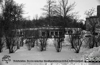 Barndaghemmet Röda Stugan
Sjukhusfotograferna i Lund. Pärm Negativ, Dia, 1987. 3-1987. Barndaghemmet Röda Stugan, vid denna tid placerat strax söder om dåvarande barnkliniken. Huset revs c:a 1990 för att ge plats för utbyggnad av onkologiska kliniken. Från negativ.
Nyckelord: Lasarettet;Lund;Universitetssjukhus;USiL;Barn;Barndaghem;Onkologisk;Klinik;Radiologisk;Pediatrisk