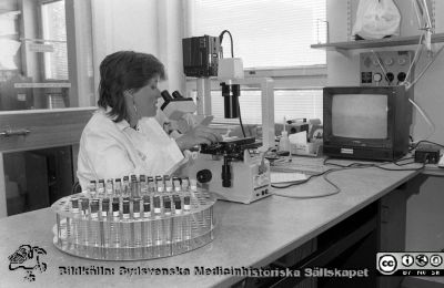 Anette Cederberg
Sjukhusfotograferna i Lund. Pärm Sv/v neg. 1989. 34. Biomedicinska assistenten (BMA) Anette Cederberg, maj 1989, vid inverterat mikroskop med cellkulturer i provrör på avdelningen för klinisk mikrobiologi. Från negativ.
Nyckelord: Lasarettet;Lund;Universitetssjukhus;USiL;Mikrobiologi;Klinisk;Odling