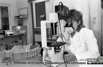  Anette Cederberg
Sjukhusfotograferna i Lund. Pärm Sv/v neg. 1989. 34. Biomedicinska assistenten (BMA) Anette Cederberg, maj 1989, vid inverterat mikroskop med cellkulturer i provrör på avdelningen för klinisk mikrobiologi. Från negativ.
Nyckelord: Lasarettet;Lund;Universitetssjukhus;USiL;Mikrobiologi;Klinisk;Odling