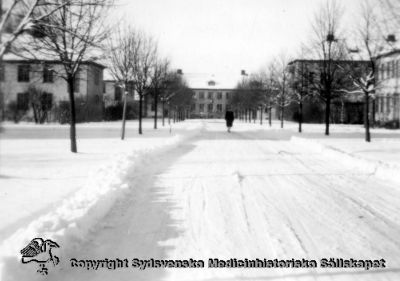 Vinterbild, Vipeholms sjukhus
Vipeholm exteriört. Stämpel: STATENS SJUKHUSPERSONALS FÖRBUND, AVD. 19, LUND. 
- Rimligen 1940-talet. Vinterbild. Foto österifrån. Administrationsbyggnaden i bakgrunden, Personalmatsal och "Kasinot" t.h, manliga paviljonger och förråd t.v. Foto Omonterat
Nyckelord: ExteriÃ¶rt;Vipeholm;Foto;Foto;Omonterat;Statens;Sjukhuspersonal;FÃ¶rbund;Avd 19;Kapsel 15;1940-talet;Vinter;Vinterbild