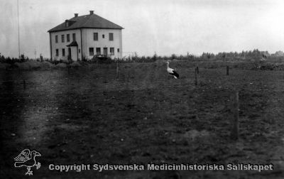 Överläkarvillan från nordost, med stork!
Vipeholm exteriört. Överläkarbostaden (OBS! storken!). Arkivet 1937. Reprofoto Vykort
Nyckelord: Vipeholm;Kapsel 15;Överläkare;Villa;Bostad;Stork;1937;Lund;Personal