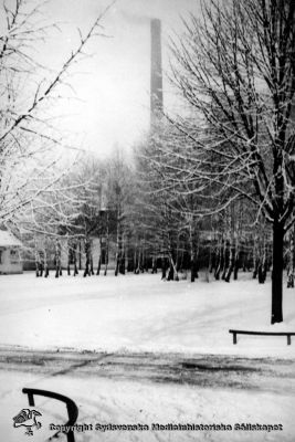 Panncentralen i vinterskrud. 
Vipeholm exteriört. Gissningsvis från mitten på 1900-talet. Foto Omonterat
Nyckelord: Vipeholm;Panncentral;Vinter;Exteriört;Foto;Omonterat