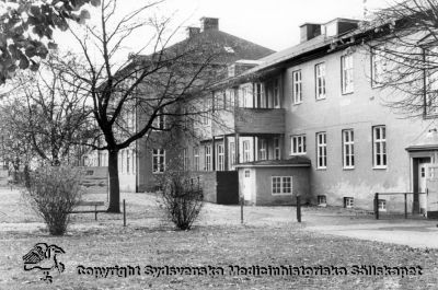 Vipeholms sjukhus, manlig paviljong, fasad åt öster
Vipeholm exteriört. Manlig paviljong. Foto Omonterat
Nyckelord: Vipeholm;Exteriört;Kapsel 15;Paviljong;Manlig;Österfasad;Foto;Omonterat