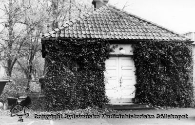 Vipeholms sjukhus, uthus
Vipeholm exteriört. Ej säkert identifierat gammalt uthus, men troligast västergaveln på det gamla s.k. kapellet, helt inklätt med vildvin. Det var ett kombinerat bårhus och kapell, byggt 1936. Foto, omonterat
Nyckelord: Vipeholm;Kapsel 15;Exteriört;Foto;Omonterat;Uthus;Kapell;Bårhus