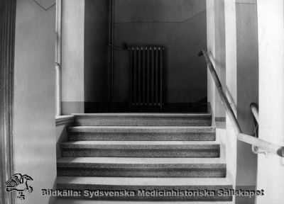 Ögonkliniken i Lund på södra lasarettsområdet i mitten på 1920-talet
Trappa i ögonkliniken i Lund i mitten på 1920-talet.
Foto Alfr. Hagblom, Lund för ett fotoalbum tillägnat professor Gustaf Ahlström när han pensionerades år 1927.
Nyckelord: Ögon;Ögonklinik;Oftalmologi;Oftalmiatrik;Lund;Lasarett;Södra;Område;