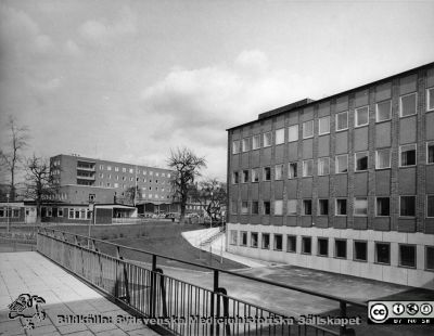 Nya infektionsklinikens fasad mot väster
Ur pärm med bilder tänkta för A. Flaum "Lasarettet i Lund" (1968). Nya infektionsklinikens fasad mot väster (till höger), barnkliniken (i bakgrunden) samt framför den sistnämnda till vänster lasarettets barndaghem "Röda stugan" med 70 ordinarie platser, uppfört och utrustat av landstinget, drivet av Lunds stad. Ett av lasarettet drivet barndaghem är för närvarande tillfälligt inrymt i reumatologiska kliniken. (Sid.253)
Nyckelord: Lasarettet;Lund;Universitetssjukhuset;USiL;Infektion;Epidemisjukhus;Klinik;Barndaghem