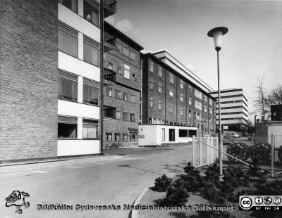 Radiologiska kliniken i slutet på 1960-talet
Ur pärm med bilder tänkta för A. Flaum "Lasarettet i Lund" (1968). Radiologiska klinikens sydfasad. Det nybyggda centralblocket i fonden. Foto 1967 eller 1968.
Nyckelord: Lasarettet;Lund;Universitetssjukhuset;USiL;Radiologisk;Onkologisk;Klinik;Jubileumsklinik