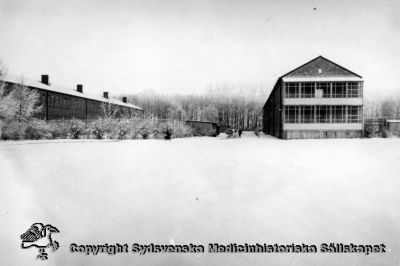 Vipeholms sjukhus. Kvinnliga paviljonger
40. Vipeholm exteriört. Vinterbild. Idrotts / fotbollsplanen under snötäcket närmast kameran. Foto, omonterat
Nyckelord: Vipeholm;Exteriört;Kapsel 16;Vinterbild;Kvinnlig;paviljong;Idrottsplats;Fotbollsplan