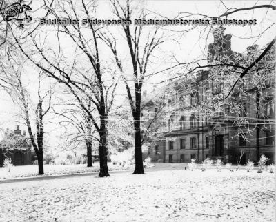 Ögonkliniken i vinterskrud i början av 1900-talet. 
Lasarettet i Lund, södra området. Foto Lina Jonn / Per Bagge.
Nyckelord: Lasarett;Lund;Ögonklinik;Södra;Område;Lina;Jonn;Per;Bagge;1900-talet