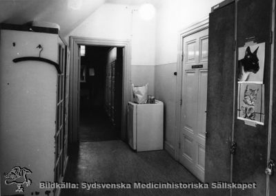 Korridoren vid narkosavdelningens expeditioner på gamla kirurgiska klinikens vind, 1968
Foto inför kirurgiska klinikens flyttning till centralblocket på norra lasarettsområdet 1968. Skylt på dörren: "Narkossjuksköt. jourrum". - Foto, monterat. Från samma negativ som bild SMHS12326.
Nyckelord: Kapsel 02;Regionarkivet;Lasarettet;Lund;Kirurgi;Kirurgisk;Klinik;Narkosavdelning;Expedition;1968