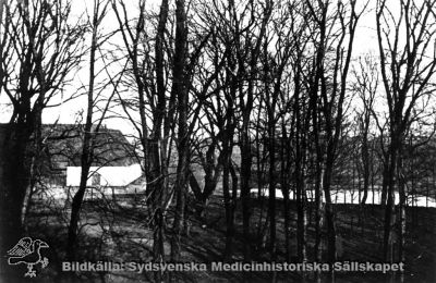 Lund: Helgonabacken från nordväst
Skulle möjligen kunna vara taget samtidigt med bild SMHS2671_000_01.jpg, dvs 1917.
Nyckelord: Kapsel 03;Regionarkivet;Lund;Helgonabacken;