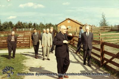 Utflykt med patienter från St Lars
Omärkt bild i kapsel med bilder från St Lars. Rimligast från något av 1900-talets sista tre decennier. Originalfoto Ej monterat
Nyckelord: Kapsel 19;St Lars;Utflkt