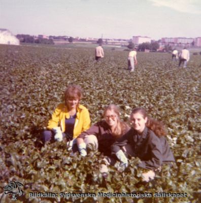 Patienter (och personal?) i ett jordbruksland
Omärkt bild i kapsel med bilder från St Lars. Originalfoto Ej monterat. Kanske jordbruksarbete med patienter? I ett betfält?
Nyckelord: Kapsel 19;St Lars;Lund