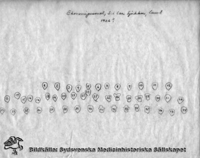 Numrering av personer på anknytande bild, SMHS3806_000-01.
Nyckelord: Kapsel 19;St Lars;Personal