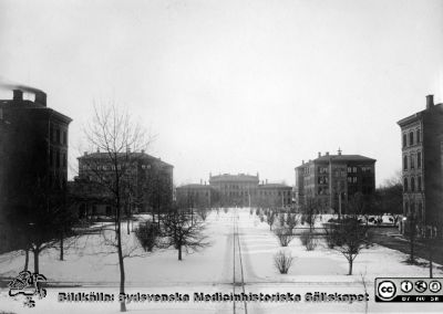 Viterbild från St Lars i Lund, Aslylen = Västra sjukhuset
Kapsel 22 med bilder från St Lars i Lund. Asylen = Västra sjukhuset. Originalfoto c:a 1929 (som flera i samma serie). "Asylen" lades formellt sett ned 1910 och blev Lunds Hospitals västra sjukhus, men namnet "Asylen" levde länge kvar. Monterat. Spårvägen anlades 1890 i samband med att asylen (=västra sjukhuset) byggdes.
Nyckelord: Kapsel 22;St Lars;Lund;Exteriört