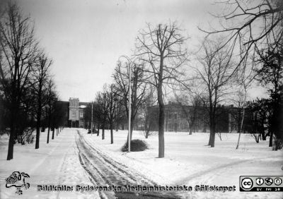  St Lars i Lund. Chefsläkarevillan + 1:a klass-avdelningar
Kapsel 22 med bilder från St Lars i Lund. Chefsläkarevillan + 1:a klass-avdelningar, mans uppe, öppna avdelningen nere. Originalfoto. Monterat
Nyckelord: Kapsel 22;St Lars;Lund;Exteriör;Park