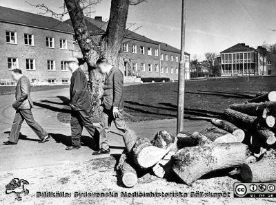 Hunnerupshemmet på St Lars-området. 
Kapsel 22 med bilder från St Lars i Lund. Påskrift: "Hunnerupshemmet. 5A 1973". Originalfoto. Ej monterat
Nyckelord: Kapsel 22;St Lars;Lund;Patienter;Exteriört;Vårdhem