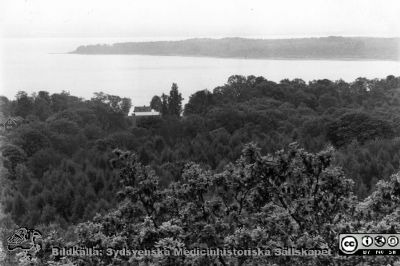 Utsikt över Ringsjön från sanatoriet i Orup
Kapsel 23 med bilder från Orup. Utsikt från sanatoriet över Ringsjön en halvdimmig dag. Originalfoto Raoph Nykvist, Stockholmm. Ej monterat
Nyckelord: Kapsel 23;Orup;Utsikt;Ringsjön