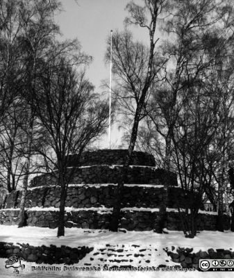 Trollhögen. Eslöv. 
Kapsel 23. Trollhögen. Eslöv. I kapsel med bilder från Orup-Eslöv-Hörby sjukvårdsdistrikt.
Nyckelord: Kapsel 23;Exlöv