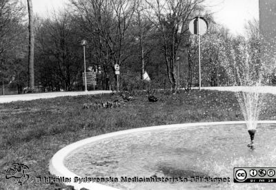 Orups sjukhus. Park med fontän
Kapsel 23. Bild från Orup-Eslöv-Hörbys sjukvårdsdistrikt. Originalfoto. Rimligen från sista fjärdedelen av 1900-talet. Omonterat.
Nyckelord: Kapsel 23;Orup;Natur;Park;Fontän