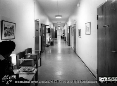 Onkologiska kliniken i Lund i slutet på 1980-talet. Korridor, kanske på avdelningen för gynekologisk onkologi
Foto Ola Terje låda A 6/6. Slutet på 1980-talet. 
Nyckelord: Terje;1980-talet;Onkologi;Klinik;Interiör;Vårdavdelning