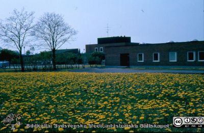 Barnpsykiatriska kliniken på St Lars i Lund c:a 1985. 
Kliniken revs nära sekelskiftet 2000 för att ge plats åt andra byggnader. Foto Janis Priedits.
Nyckelord: St Lars;Exteriör;Park;BUP;Barnpsykiatri;Klinik