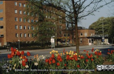 Barnkliniken vid huvudentrén med portvaktshuset, vid Getingevägen
Ur låda med blandade diabilder från sjukhusfotograferna i Lund, 1970-, 1980- och 1990-talen. Lasarettet i Lund 1989. 
Nyckelord: Lasarettet;Lund;Universitetssjukhuset;USiL;Barnklinik;Pediatrisk;Klinik;Portvakt;Entr