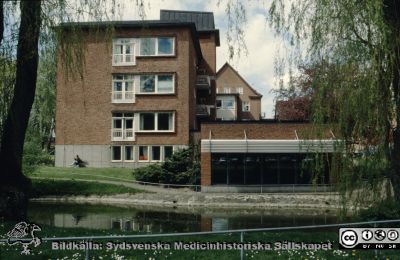 Ankdammen vid östra gaveln på reumatologiska kliniken, utanför badbassängen
Ur låda med blandade diabilder från sjukhusfotograferna i Lund, 1970-, 1980- och 1990-talen. Omärkt bild. 
Nyckelord: Lasarettet;Lund;Universitetssjukhuset;USiL;Reumatologisk;Klinik;Park;Ankdamm;Badbassäng