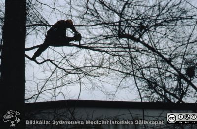 Trädfällning 1990 för utbyggnad av radiologiska / onkologiska kliniken
Träd fälldes och barndaghemmet "Röda Stugen" för universitetssjukhusets personal revs 1990 för att ge plats för en utbyggnad av radiologiska kliniken västerut. Byggnaden flyttades till tomten vid ögonkliniken B.
Nyckelord: Lund;Lasarett;Universitet;Universitetssjukhus;Barndaghem;Arborist;Trädfällning