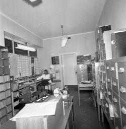 Filnamn=SMHS13055Copp.jpg
Filstorlek=130KiB
Dimensioner=1002x1024
Uppladdade datum=02 Dec 2014 SMHS13055Copp.jpg