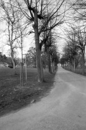 Filnamn=SMHS13910Copp.jpg
Filstorlek=163KiB
Dimensioner=681x1024
Uppladdade datum=07 Maj 2015 SMHS13910Copp.jpg