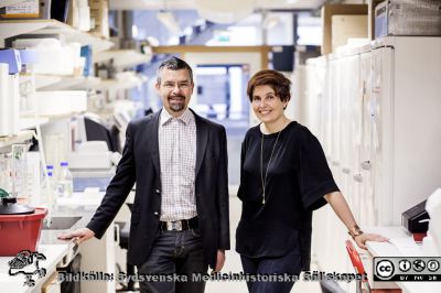 Erik Renström och Anna Blom
Erik Renström och Anna Blom (professor i medicinsk proteinkemi och 2019 Wallenberg Scholar) i sitt laboratorium i Malmö i Institutionen för translationell medicin 2014. Bildkälla Lunds Universitet. Foto Apelöga.
Nyckelord: Laboratorium;Lunds universitet;Malm;Wallenberglaboratoriet;Universitetssjukhuset;SUS