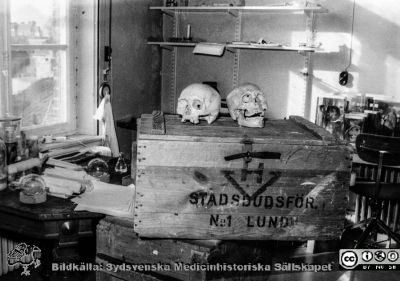 Flyttning på Patologiska Institutionen i Lund senast 1962
Ur CG Ahlströms album "Institutionen för Patologi, Paradisgatan, Dess chef och personal 1944 - 1962". "Flyttningen till vårt nya hus har börjat". Ett arbetsum med dödskallar mm, halvtömt.
Nyckelord: Lasarettet;Lund;Laboratorium;Universitetssjukhuset;USiL;Preparatförråd;Institutionen;Avdelningen;Arbetsrum;Förråd;Flyttning;Patologiska