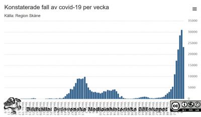 Konstaterade fall av Covid-19 i Skåne, per vecka
Bildkälla Region Skåne.
Nyckelord: Pandemi;Infektion;Epidemi;Virus;Covid-19;Region Skåne