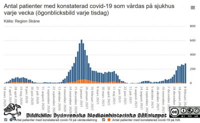 Antal patienter med konstaterad covid-19 som vårdas på sjukhus varje vecka i Region Skåne
Ögonblicksbild varje tisdag. Grafen visar hur många patienter som konstaterats ha covid-19 som har legat på sjukhus varje tisdag. Orange-färgade staplar visar det antalet patienter i intensivvård varje tisdag, medan mörkblåa staplar visar det genomsnittliga antalet patienter på övriga vårdavdelningar varje tisdag. Bildkälla Region Skåne.
Nyckelord: Pandemi;Epidemi;Covid-19;Region Skåne;Sjukhusvård;IVA;Intensivvård