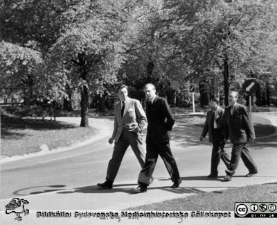 Ögonläkarmöte i Lund 4/6 - 5/6 1955
Ögonläkarna  Gösta Elg och Åke Norrby samt Bertil Hanström i Västervik och Yngve Barkman i bakre ledet. Foto vid universitetsbiblioteket, rimligen på väg tillbaka till ögonkliniken efter lunch på Akademiska Föreningen eller i matsalen på södra lasarettsområdet. Ur Paul Enokssons fotoalbum. Fil 980407j.tif.
Nyckelord: _Ögon;_Ögonkliniken;_Ögonläkare;Lunds universitet;Lasarettet i Lund;Medicinska fakulteten;Nordiskt;Lunch