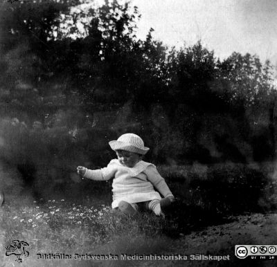 Litet barn på en äng. 
Bild 82 i husmor Anna Landelius (1880-1964) efterlämnade fotoalbum. Ingrid Frennhoff (f. 1944) hade övertagit detta album efter sin morfar som i sin tur tagit hand om det efter sin syster husmor Anna på Lasarettet i Lund. Detta album är en gåva från Ingrid Frennhoff till Sydsvenska Medicinhistoriska Sällskapet nyåret 2020.
Rimligen ett syskonbarn till Anna Landelius.
Nyckelord: Spädbarn;Blomsteräng