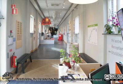 Livets Museum i Lund 2020-03-22.
Livets Museum i Lund, nedre delen av korridoren.
Nyckelord: Livets Museum;SMHS;Sydsvenska Medicinhistoriska Sällskapet;Utställning