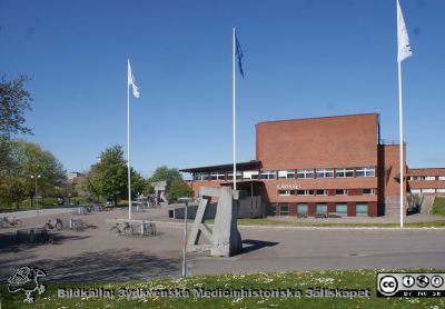 Kårhuset vid Lunds Tekniska högskola en vårdag 2020.
 Foto Berndt Ehinger
Nyckelord: Lunds Tekniska Högskola;Lunds universitet;Skulpturer;Parkmark;Vårsol;Knoppning